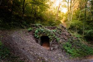 Apnenica (Arhiv Občine Kozje)